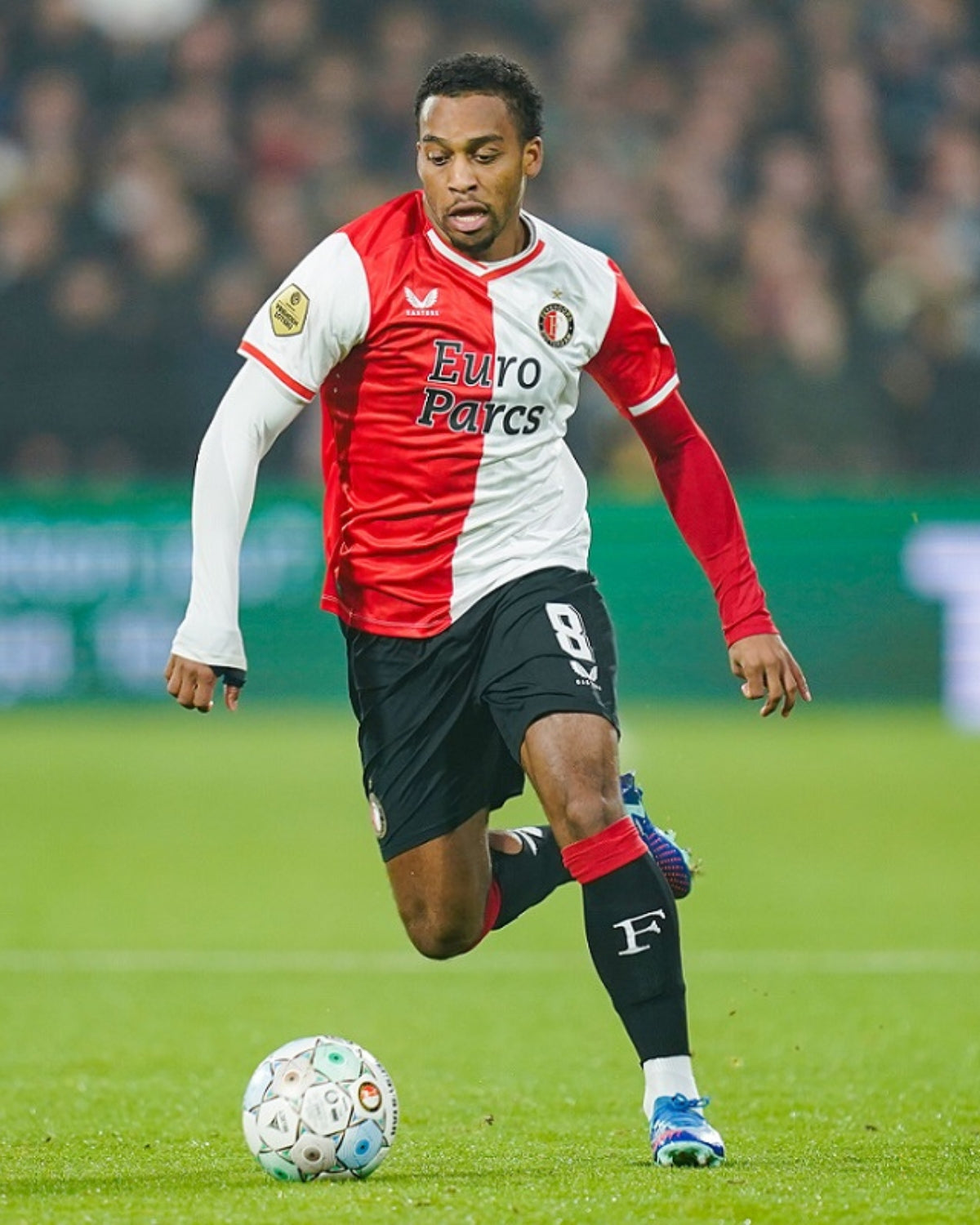 TIMBER QUINTEN 2023-24 (Fey)